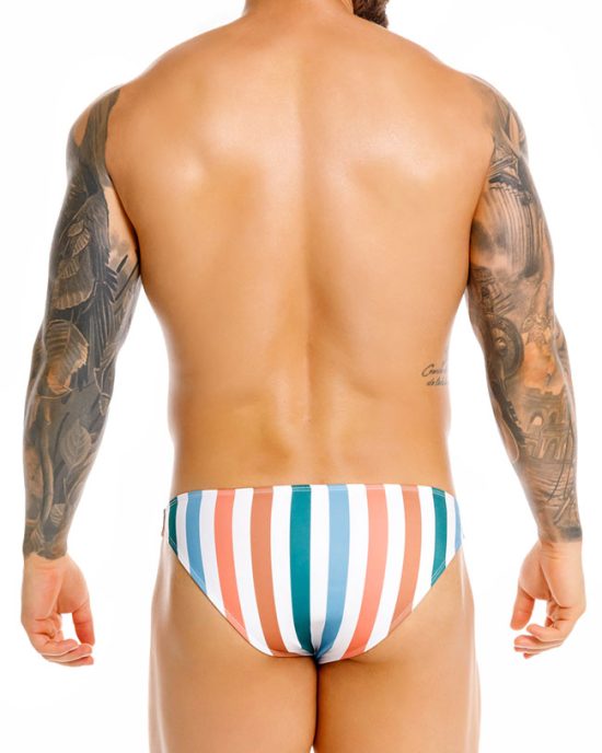 2496 FIJI SWIM BIKINI PRINTED