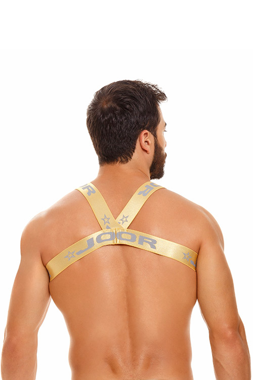 1729 ORION HARNESS GOLD